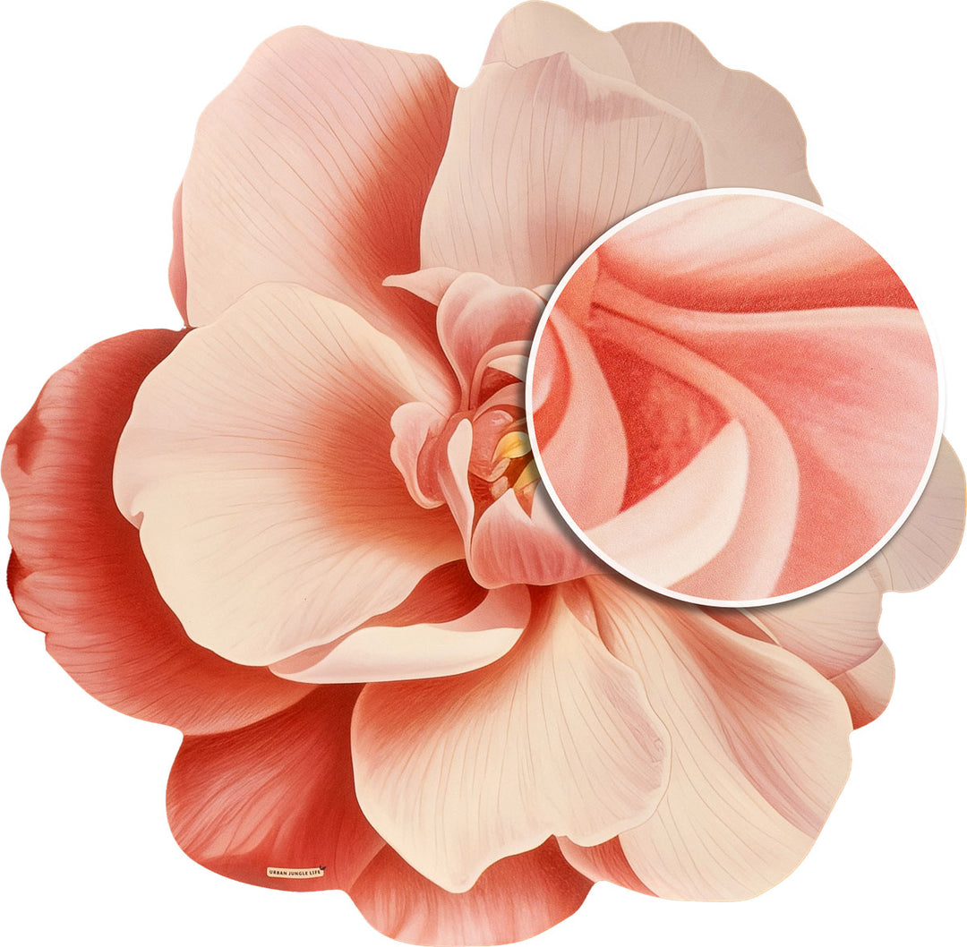 שטיח וניל שושנה ורודה | Pink rose