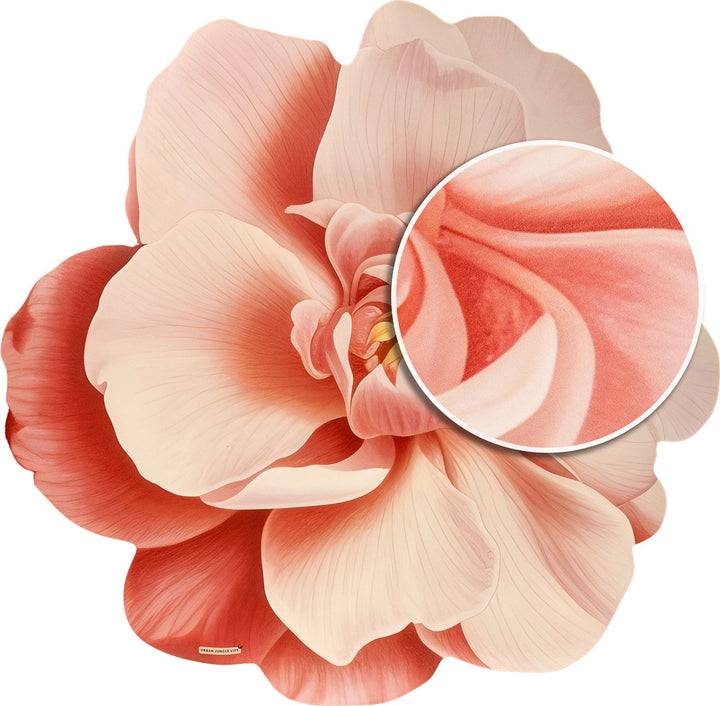 שטיח וניל שושנה ורודה | Pink rose