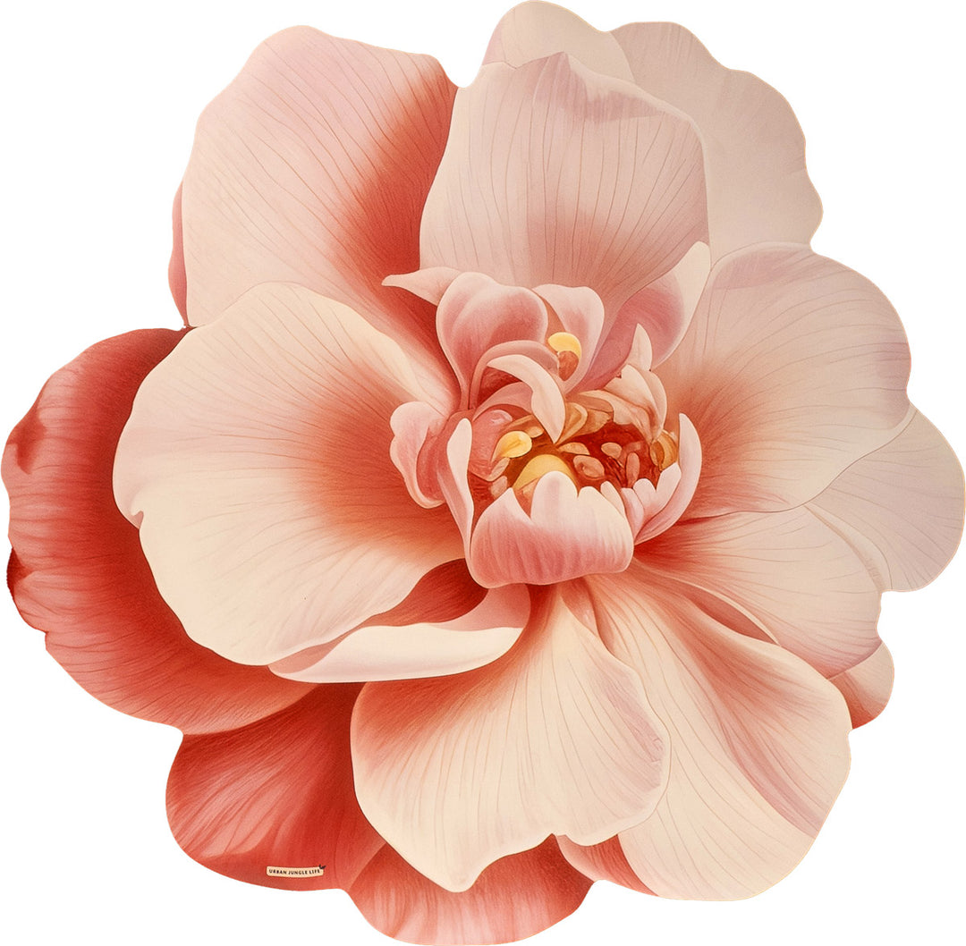 שטיח וניל שושנה ורודה | Pink rose