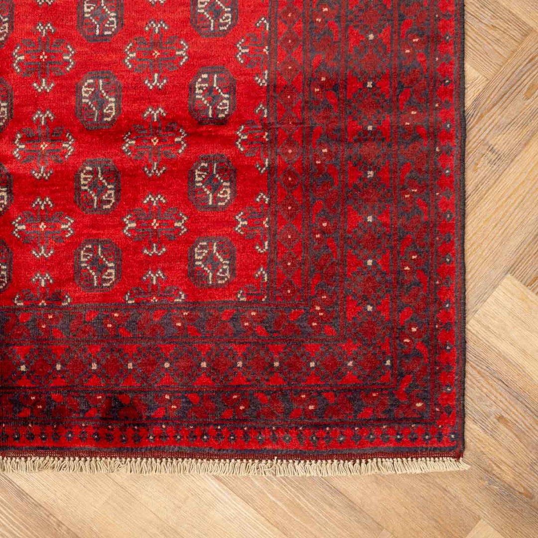 שטיח אפגני בוכרה 00 אדום 239*168 | Bokhara Rug