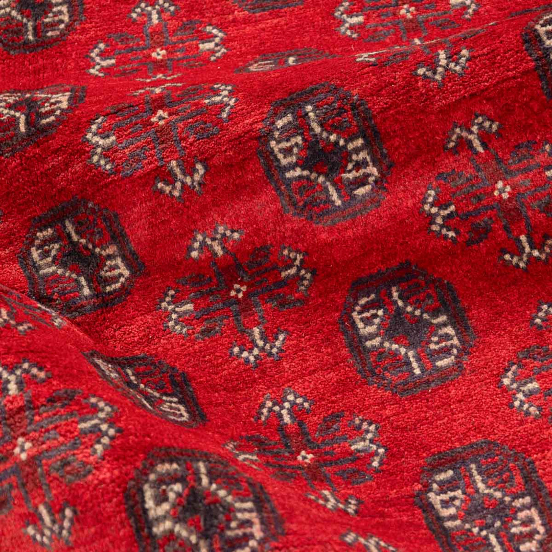 שטיח אפגני בוכרה 00 אדום 239*168 | Bokhara Rug