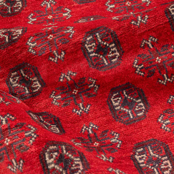שטיח אפגני בוכרה 00 אדום 239*168 | Bokhara Rug