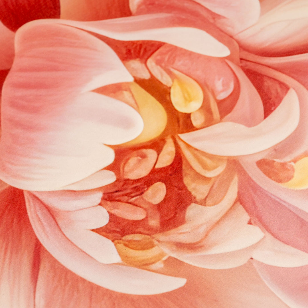 שטיח וניל שושנה ורודה | Pink rose