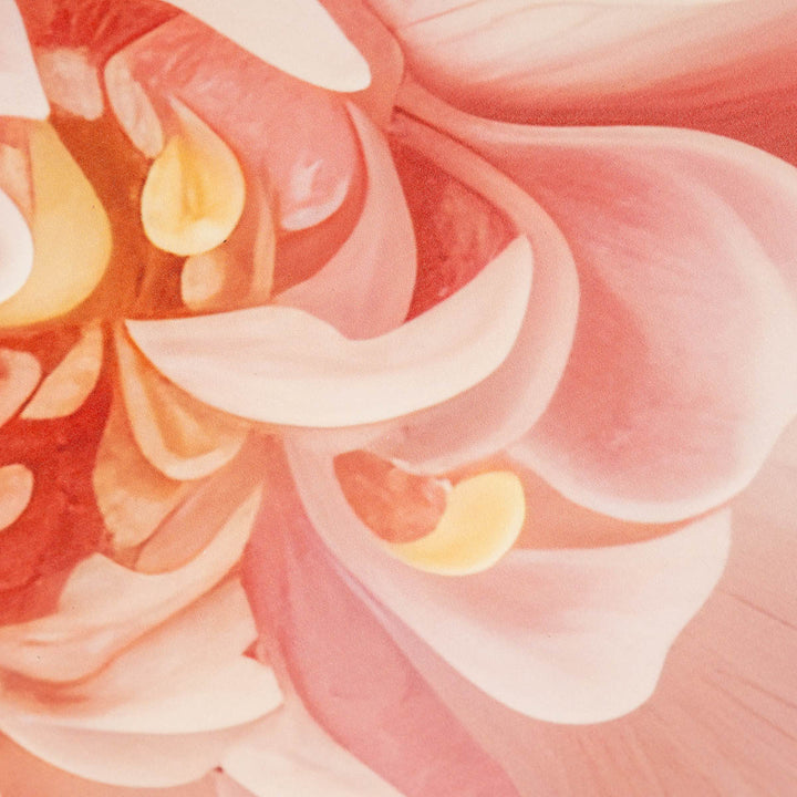 שטיח וניל שושנה ורודה | Pink rose