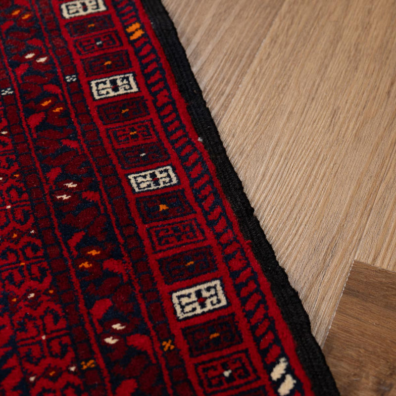 שטיח אפגנן קונדוז 00 אדום 246*159 | Afghan Kunduz Hand-Knotted