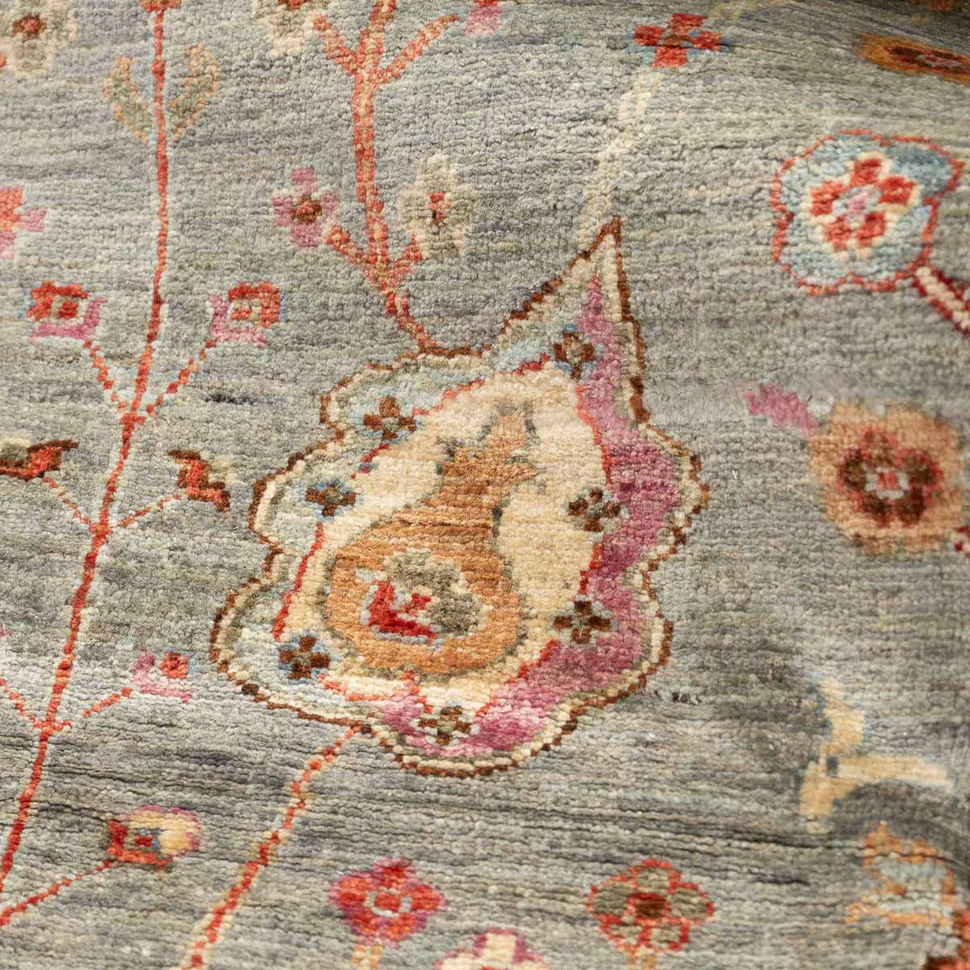 שטיח אריאנה 00 צבעוני 340*241 | Ariana