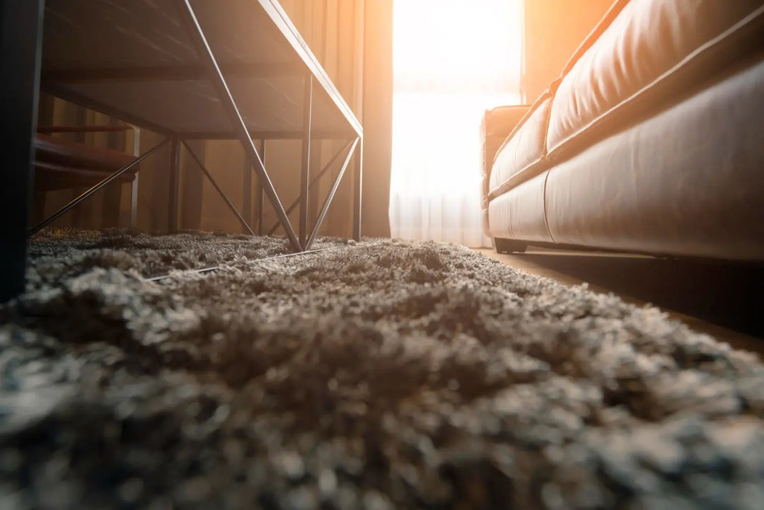 האם שטיחים באמת מחמירים אלרגיה? האמת המפתיעה (ולמה זה יכול לעזור)