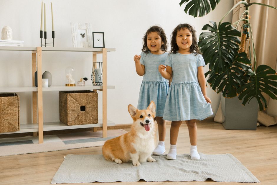 Two smiling Asian sisters in matching dresses play with a corgi dog in a cozy living room.