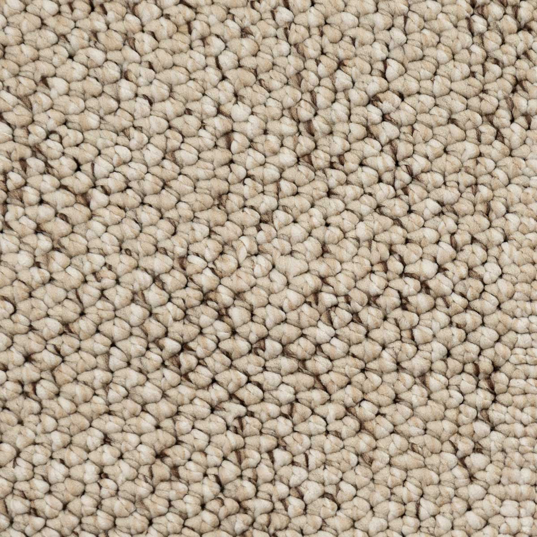 שטיח טלרה 01 בז' | Talara