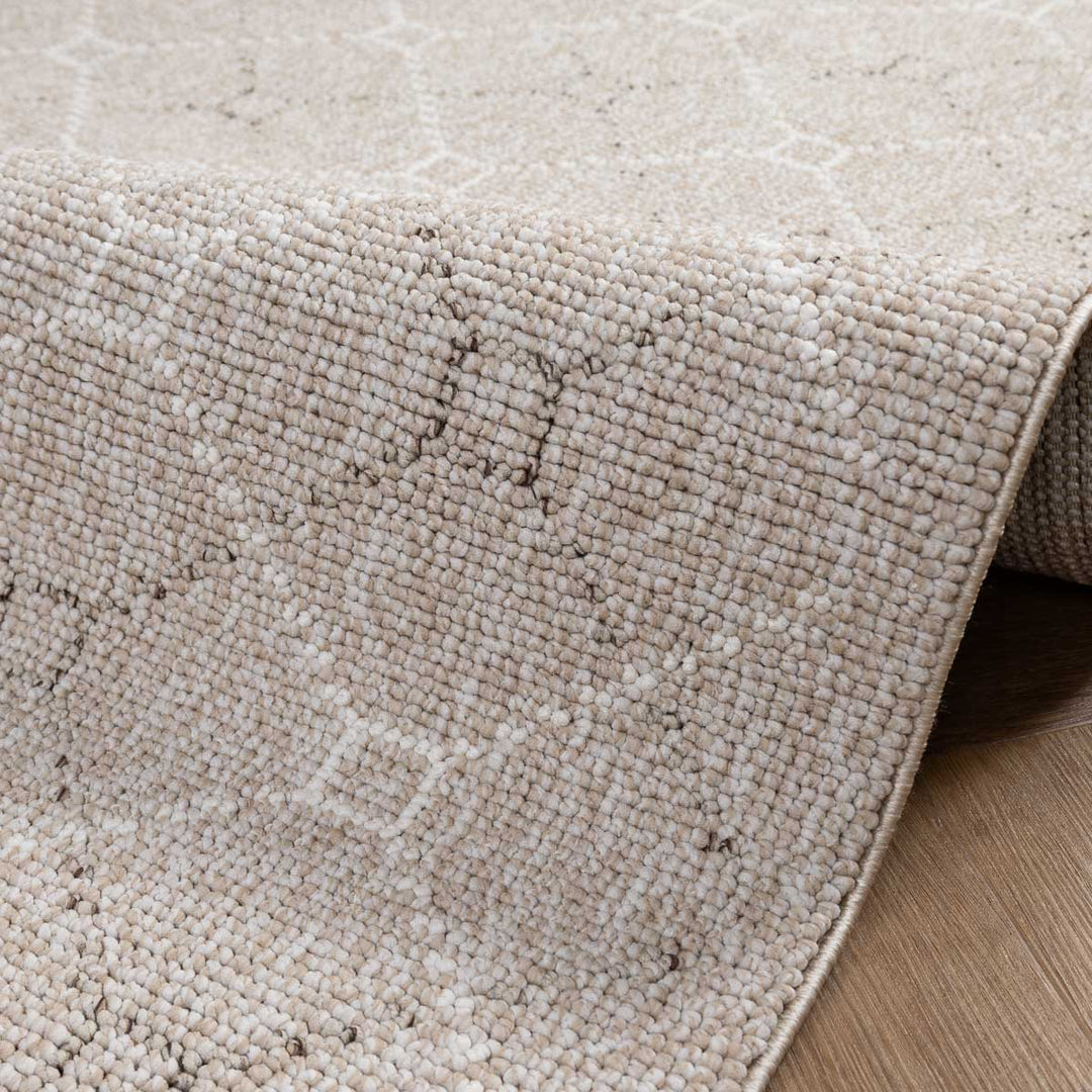 שטיח טלרה 09 בז' | Talara