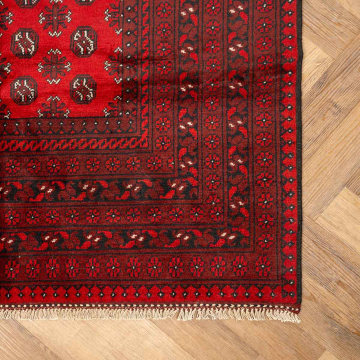 שטיח אפגני בוכרה 00 אדום 240*162 | Bokhara Rug