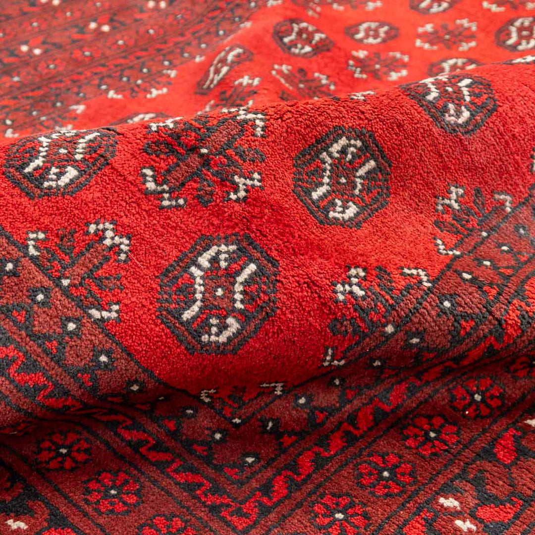 שטיח אפגני בוכרה 00 אדום 240*162 | Bokhara Rug