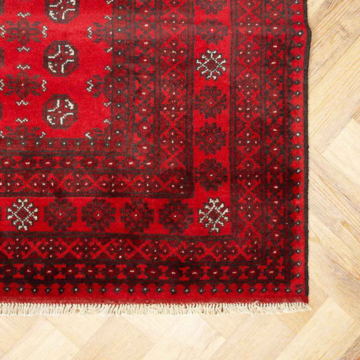 שטיח אפגני בוכרה 00 אדום 244*163 | Bokhara Rug