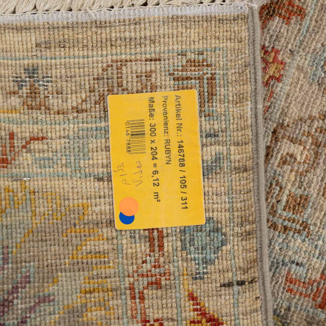 שטיח אריאנה 00 צבעוני 300*204 | Ariana