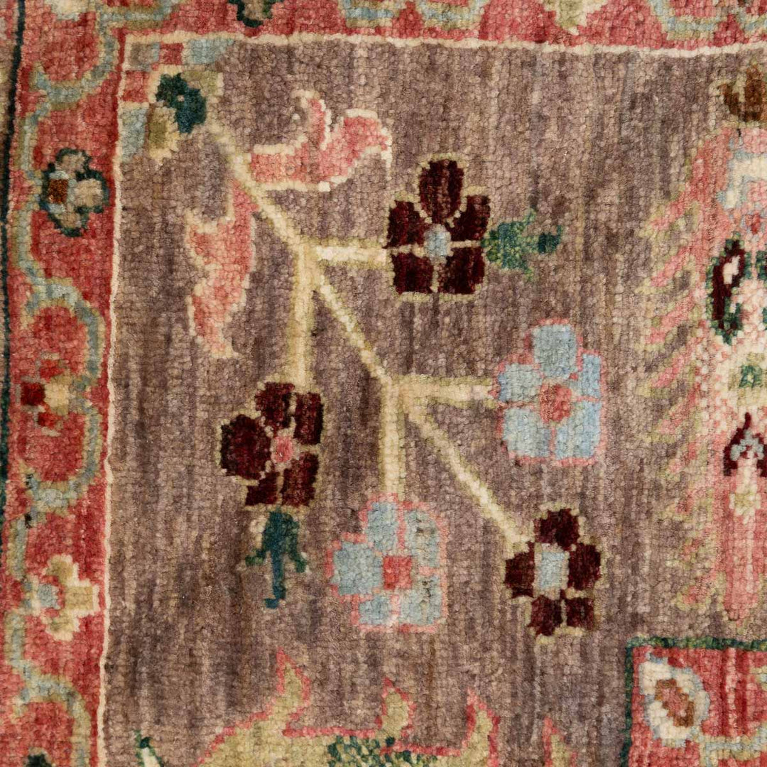 שטיח אריאנה 00 צבעוני 301*207 | Ariana