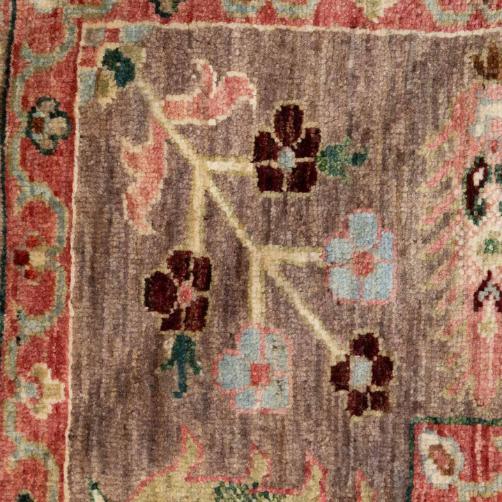 שטיח אריאנה 00 צבעוני 301*207 | Ariana