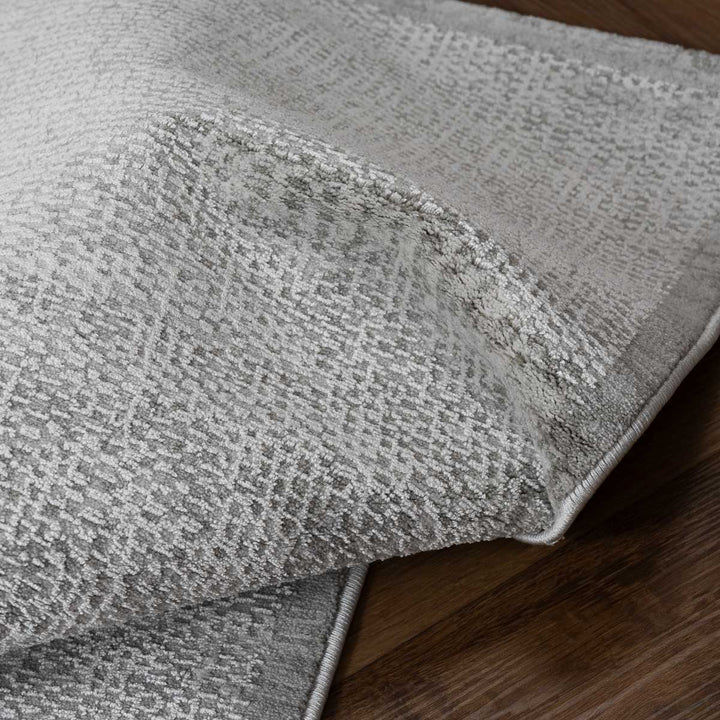 שטיח אמבר 01 אפור בהיר | Amber