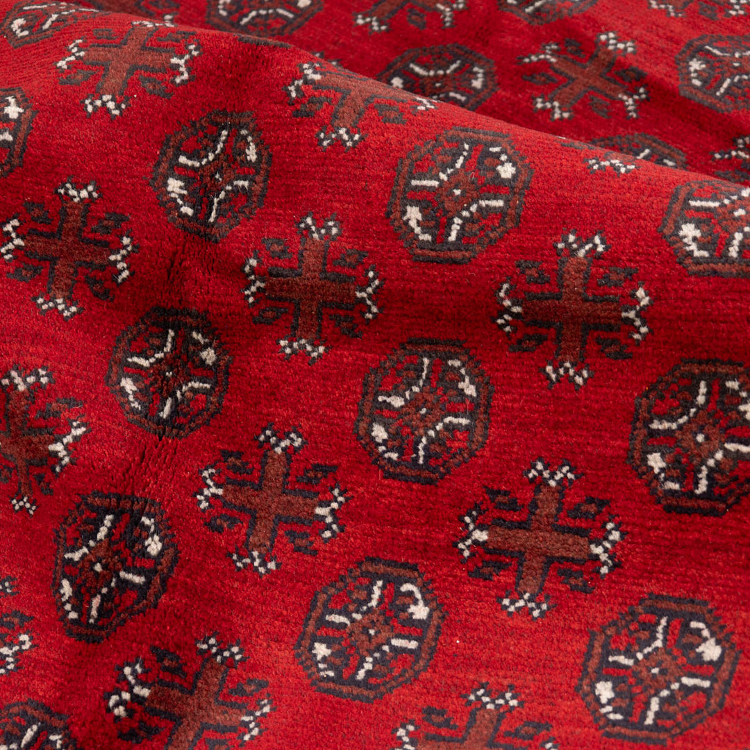 שטיח אפגני בוכרה 00 אדום 244*166 | Bokhara Rug