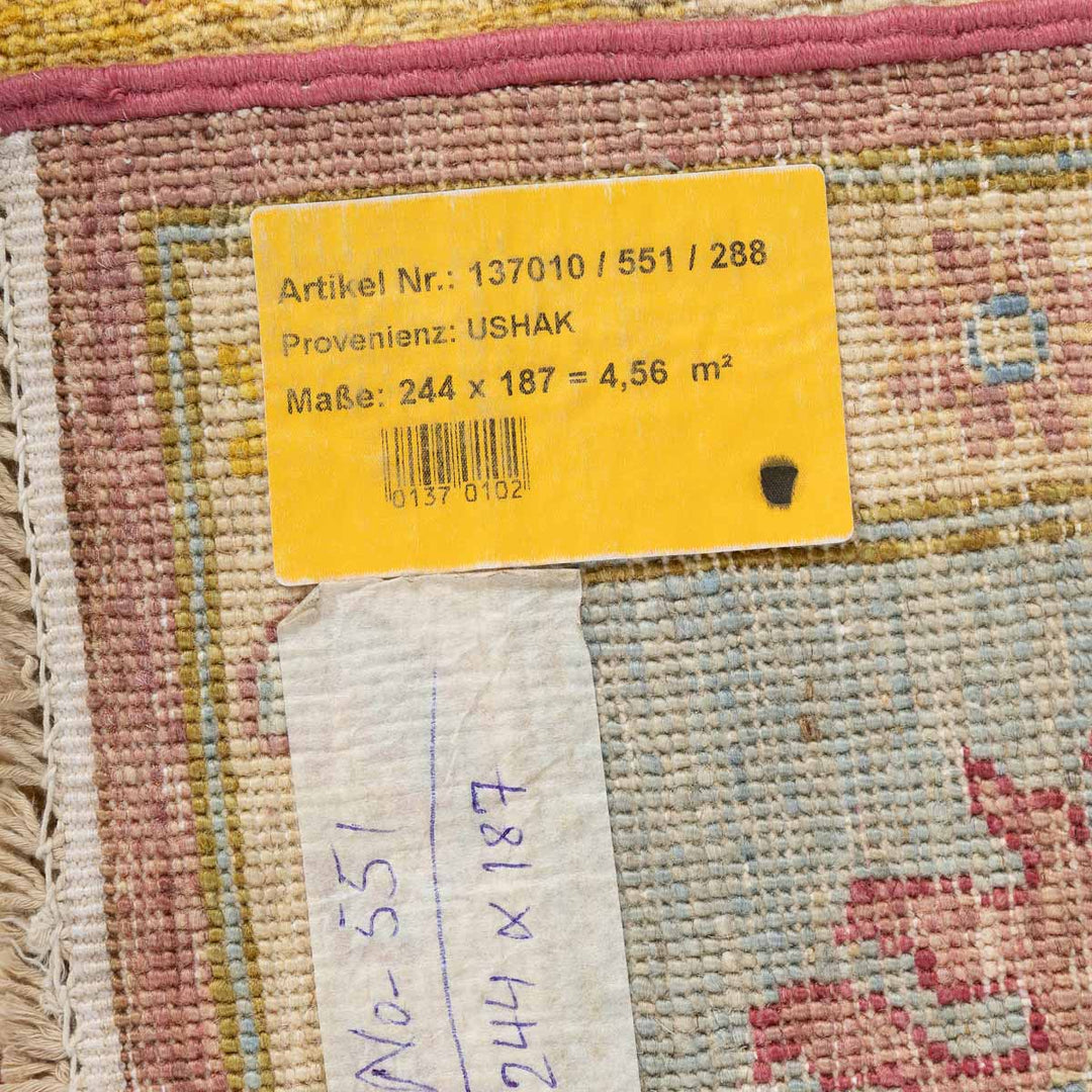 שטיח אושק 00 צבעוני 244*187