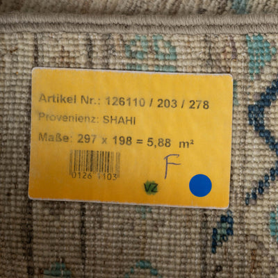 שטיח אריאנה 00 צבעוני 297*198 | Ariana