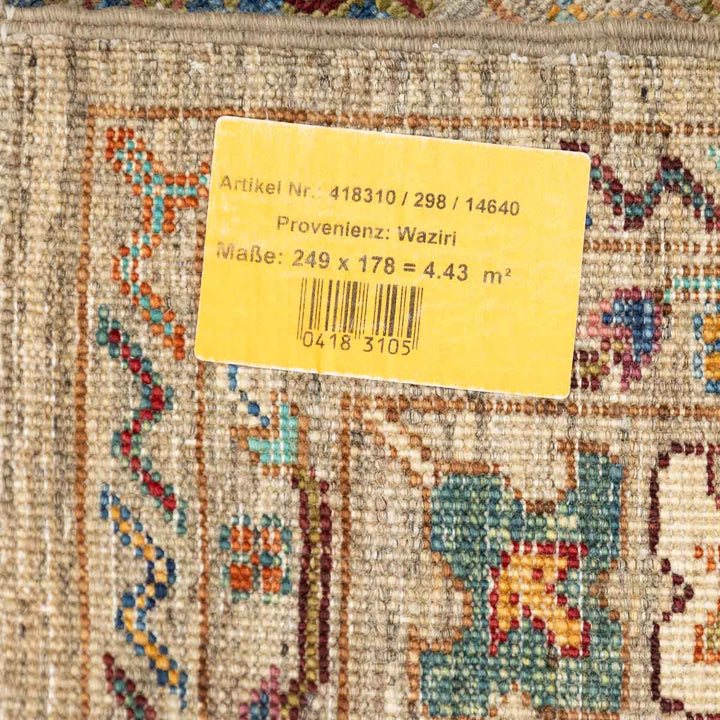 שטיח אריאנה 00 צבעוני 249*178
